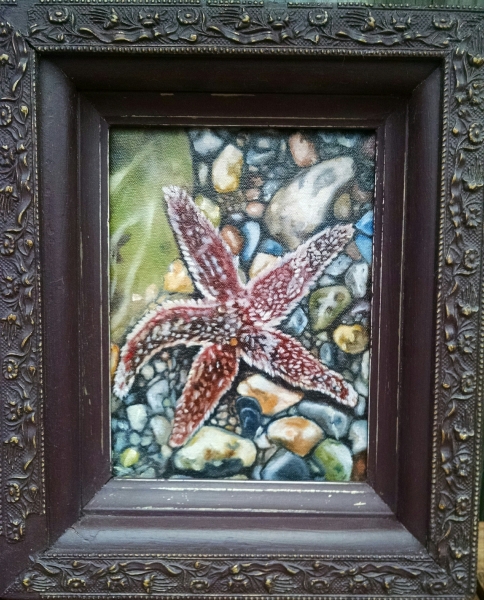 Sea Star, Sketch