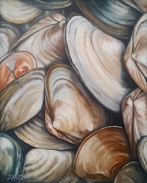 Surf Clams